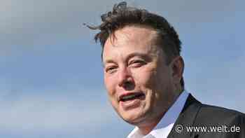 Tesla-Chef Musk überholt Bill Gates in Milliardärs-Rangliste 