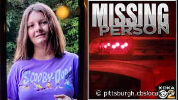 Pa. State Police Searching For Missing 13-Year-Old Alexys Jayden Bell