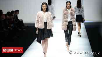 Fur industry faces uncertain future due to Covid