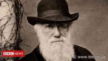 Charles Darwin: Notebooks worth millions lost for 20 years