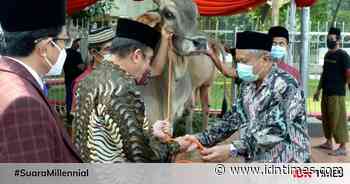 Jokowi Serahkan Sapi Kurban Jenis Ongole ke Masjid Istiqlal - IDN Times