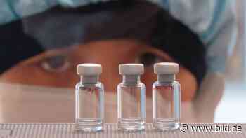 Verpackungen, Ampullen, Transport: Diese Firmen profitieren vom Impfstoff - BILD