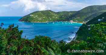 British Virgin Islands: Medical Cannabis Momentum Stalls - Cannabis Wire