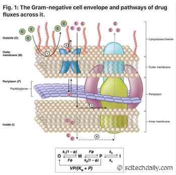 Search for New Antibiotics to Combat “Two of the Most Wicked Healthcare Problems We Face”