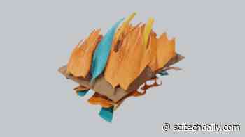 65 Million-Year-Old Evolutionary Arms Race: Moths’ Extraordinarily Sophisticated Wing Design