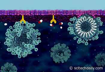 Building a Cell Membrane Defense Against COVID-19