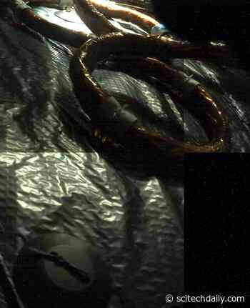 Hear Subtle Sounds NASA’s Perseverance Picked Up As It Travels Through Deep Space on the Way to Mars