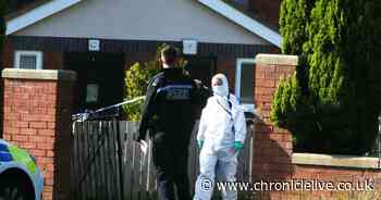 Suspects released without charge after daylight street stabbing