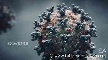 LIVE TMW - Coronavirus: Lazio, depositata la perizia sui tamponi. Tampone negativo per Cataldi - TUTTO mercato WEB