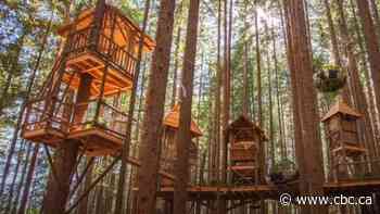 False claims, misleading images promote 'eco resort' crowdfunding campaign that's raised over $60K