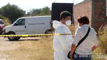 Mexican authorities uncover 113 bodies in mass grave