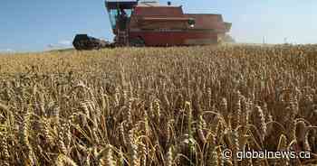 Report shows 70% drop in young and new farmers across Prairies