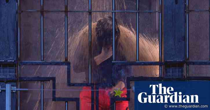 Police investigate I'm a Celebrity over fears non-native bugs may be escaping