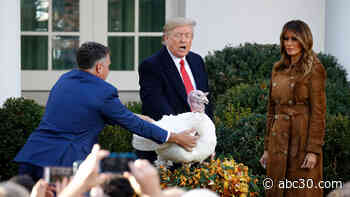 Annual White House turkey pardon ceremony: WATCH LIVE