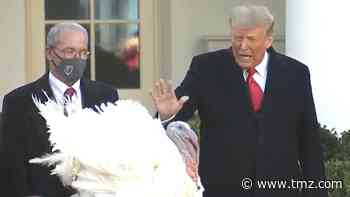 President Trump Pardons Turkey Named Corn