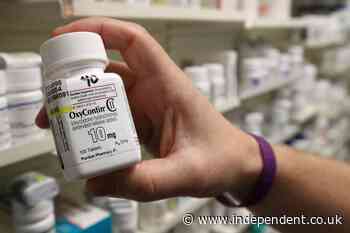 OxyContin maker Purdue admits role in opioid crisis after pleading guilty to criminal charges