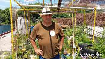 Cómo las huertas urbanas de Buenos Aires generan soberanía alimentaria sin gastar dinero: "Es una revolución... - RT en Español