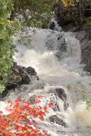 Conservation authorities face having powers peeled