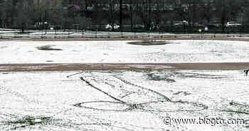 Giant snow penis spotted in Toronto's Riverdale Park - blogTO