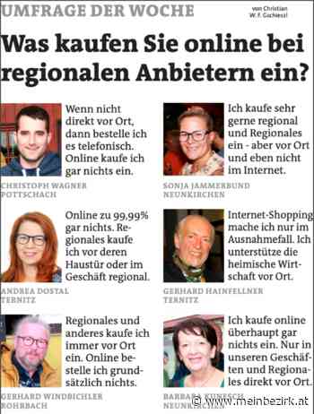 Bezirk Neunkirchen: Umfrage – so shoppen wir online regional - Neunkirchen - meinbezirk.at
