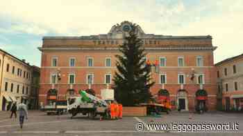 Jesi, arriva l’albero di Natale in piazza della Repubblica - Password Magazine