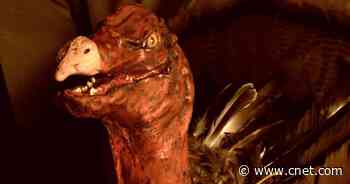 Gore and gravy: Terrifying Thanksgiving horror films     - CNET