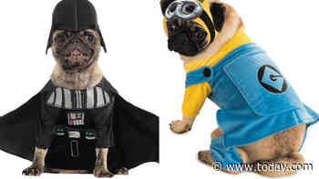 Minion or Darth Vader? Here are the most popular Halloween costumes for pets