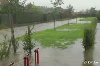 Provincie legt gecontroleerd overstromingsgebied aan in Wingene