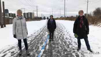 How can Toronto get people outdoors this winter? Start shovelling, says this pandemic walking group