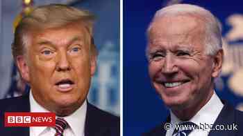 US election 2020: What is the presidential transition?