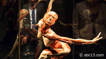 BODY WORLDS Exhibition is officially back in Houston and here's how you can get tickets for the 2020 or 2021 schedule. - KTRK-TV