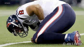 NFL Thanksgiving: Looking back at Houston Texans vs. Lions in 2012 - KTRK-TV