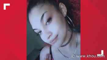 'Loved her babies': $10,000 reward offered in deadly shooting of mother with three young daughters - KHOU.com