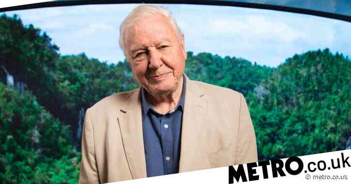 Sir David Attenborough’s Instagram account is now inactive after breaking records on debut