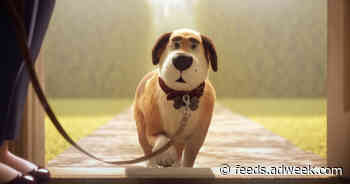 These Pixar-Like Ads for Pet Food Gently Encourage Owners Not to Overfeed