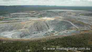 Kakadu ants help rehab at NT uranium mine - Newcastle Star