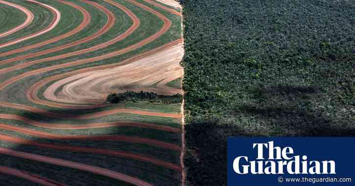 The Cerrado: how Brazil’s vital ‘water tank’ went from forest to soy fields