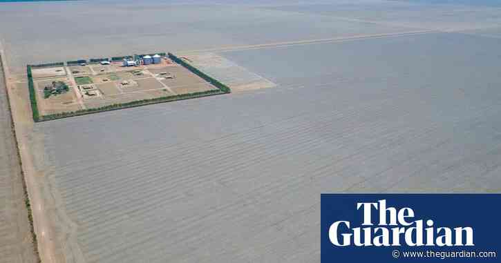 Revealed: UK supermarket and fast food chicken linked to deforestation in Brazil