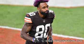 Cleveland Browns news (11/22/20) - Dawgs By Nature