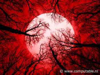 De vloek van de snelle oplossing