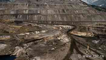 How an assignment at Ryerson inspired Edward Burtynsky's industrial landscapes