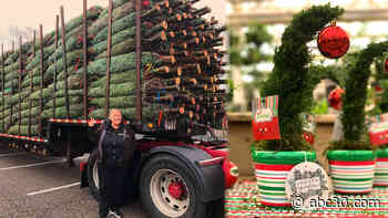 For over 160 years this winter wonderland has been the largest Christmas store on Long Island