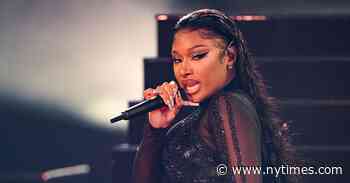 Snapshots of the Many Megan Thee Stallions