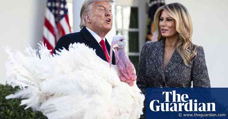 'Will you pardon yourself?': Trump ignores questions after pardoning turkey – video