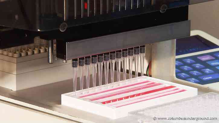 Coronavirus Update: Utility & Business Assistance, Travel Advisory & More