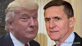 President Trump Pardons Gen. Michael Flynn