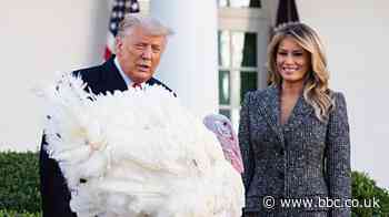 President Trump pardons US Thanksgiving turkey, Corn, at White House