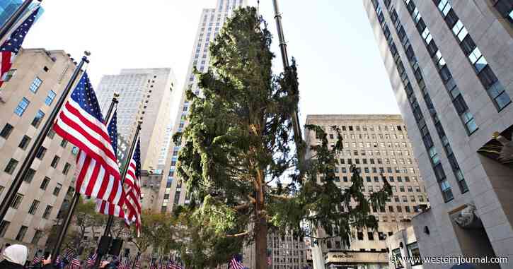 Iconic Christmas Tree Takes Merciless Beating on Social Media After Big Arrival