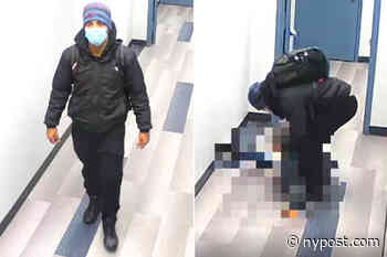 Cops arrest man who tried to rape girl in Brooklyn medical office - New York Post