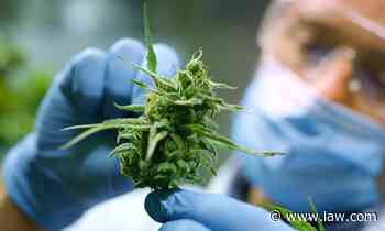 Using Medical Marijuana Not a 'Disability' Under Pa. Human Relations Act, Judge Rules | The Legal Intelligencer - Law.com
